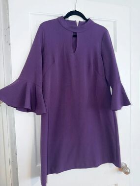 perceptions women’s plum dress with ruffle sleeves
